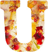 Brev Harpiks Lampa med Torkade Blommor Carvallo