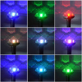 Solardriven djuravvisare för trädgård och gård – Miljövänligt skydd mot möss och gnagare Carvallo