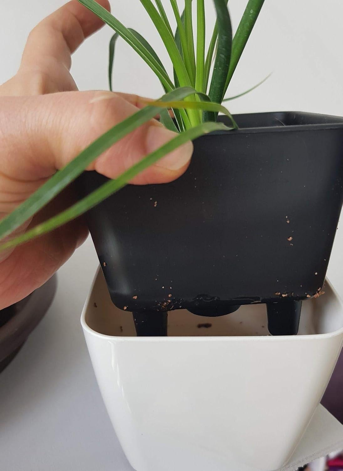 Blomkruka med bevattningssystem – Självbevattnande blomkruka för inomhus- och utomhusbruk Carvallo