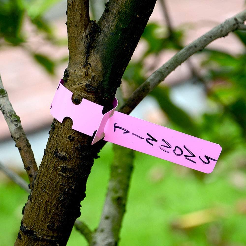 Återanvändbara växtetiketter i plast för trädgård och trädmärkning Carvallo