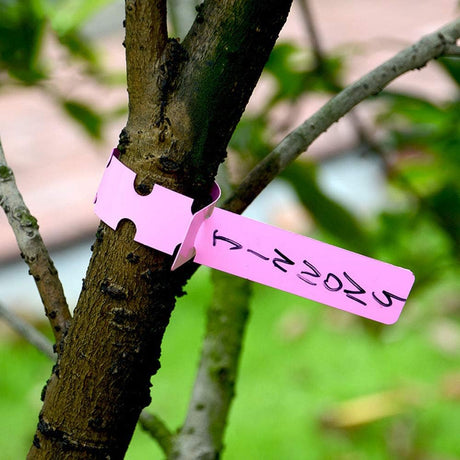 Återanvändbara växtetiketter i plast för trädgård och trädmärkning Carvallo