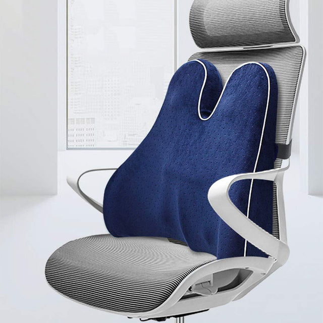 Memory Foam Lumbarsupportskudde för Ryggont Carvallo