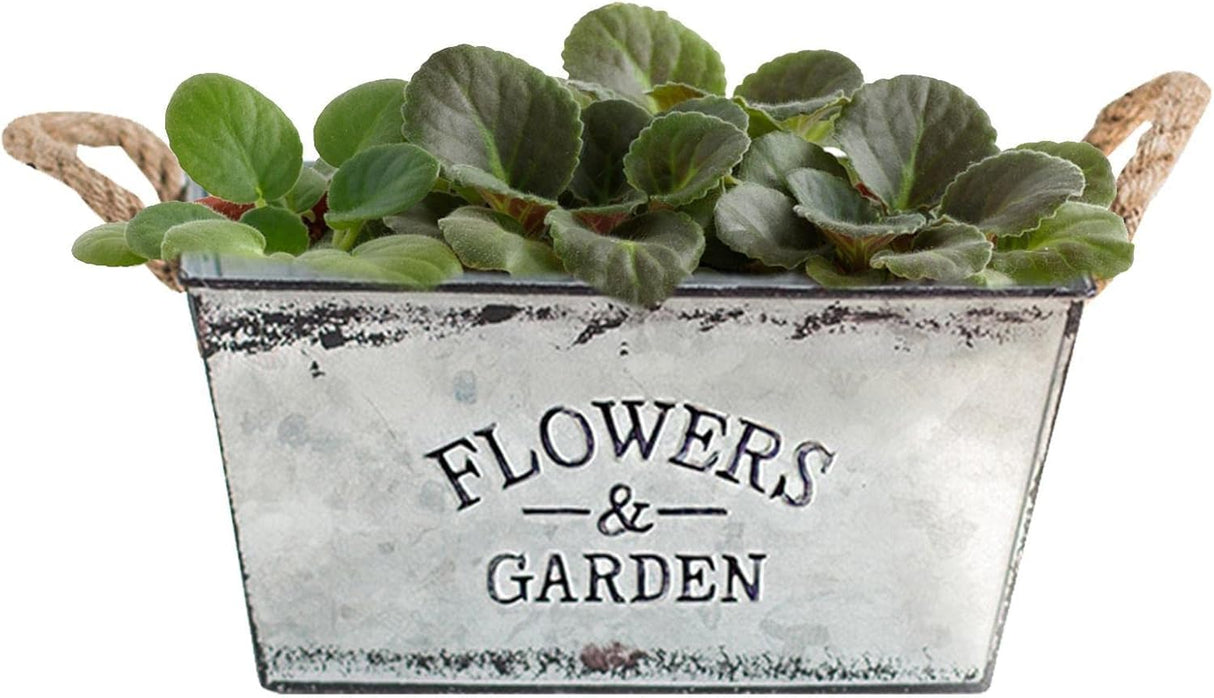 Dekorativ blomster- och trädgårdsbehållare i metall med hampasnörehandtag Carvallo