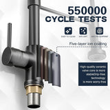 Luxora Enkel-Hål Våren Kök Blandare Med Utdragbar Spraymunstycke Carvallo