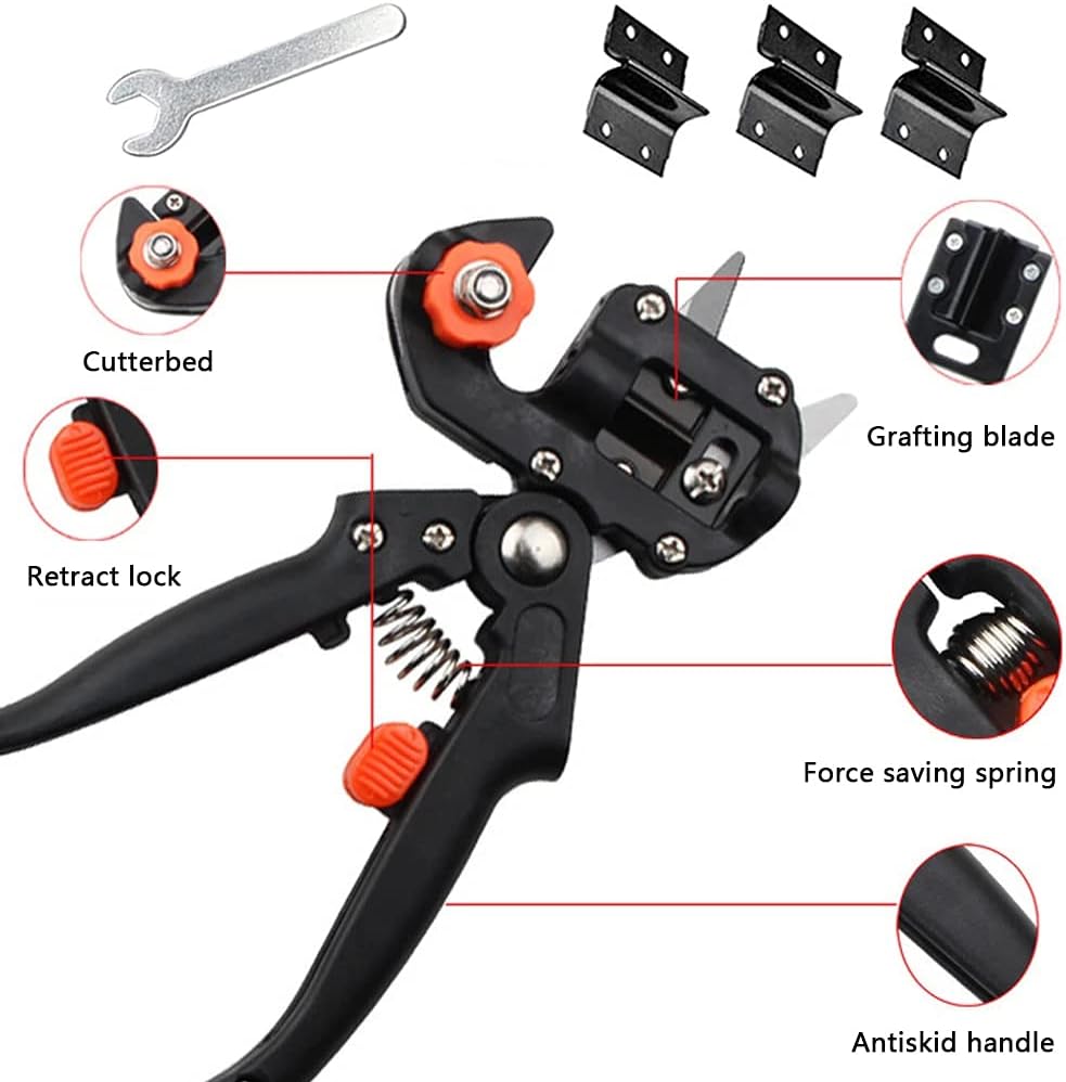 Graft- och beskärningsverktygs-set för exakt växtförädling Carvallo