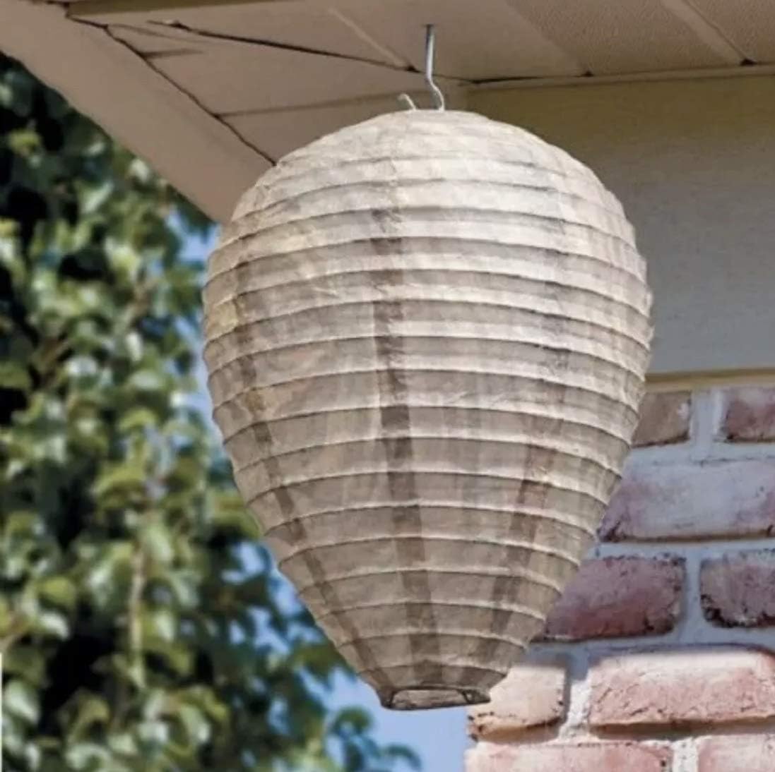 Wespennest Avskräckande Lampa – Hängande skyddsnät mot getingar och insekter Carvallo