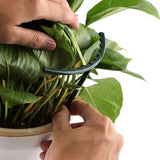 Klattersupport för växter – Robust hållare med burdesign för tillväxt och stabilitet Carvallo