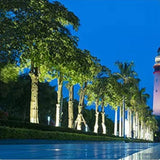 NatureBeam | Träd Spotlight för Trädgård Carvallo