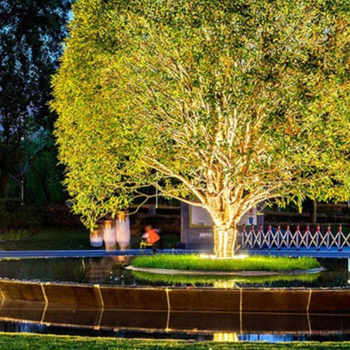 NatureBeam | Träd Spotlight för Trädgård Carvallo