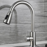 PureFlow – Enkelt Handtag Utdragbar Kökblandare Carvallo