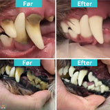 PureSpark – Komplett munhygienset för hundar med justerbar intensitet Carvallo