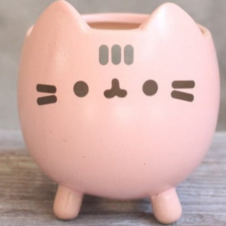 PurrNest – Låg syrlig kattformad planteringslåda med unikt design Carvallo