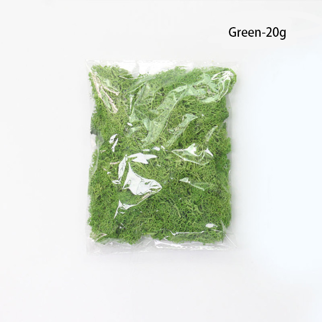 Konstgjord mossa för landskapsdesign – Mossa och blommor för dekoration och floristisk Carvallo