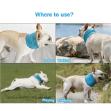 Svalkande Kylkrage För Husdjur-Husdjur-BB-Hemnix