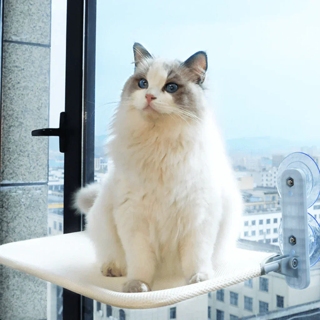 PurrNook – Fällbar Fönster katt-hängmatta med Lätt att rengöra överdrag och säker stöd Carvallo