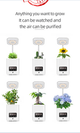 Multifunktionell intelligent hydroponisk växtkruka med kalender, diffusor och skrivbordslampa Carvallo