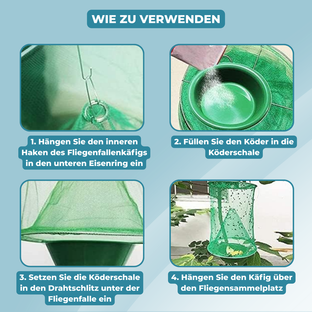 Carvallo – Slut med flugor i trädgården och huset Carvallo