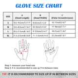 Dykhandskar Carvallo