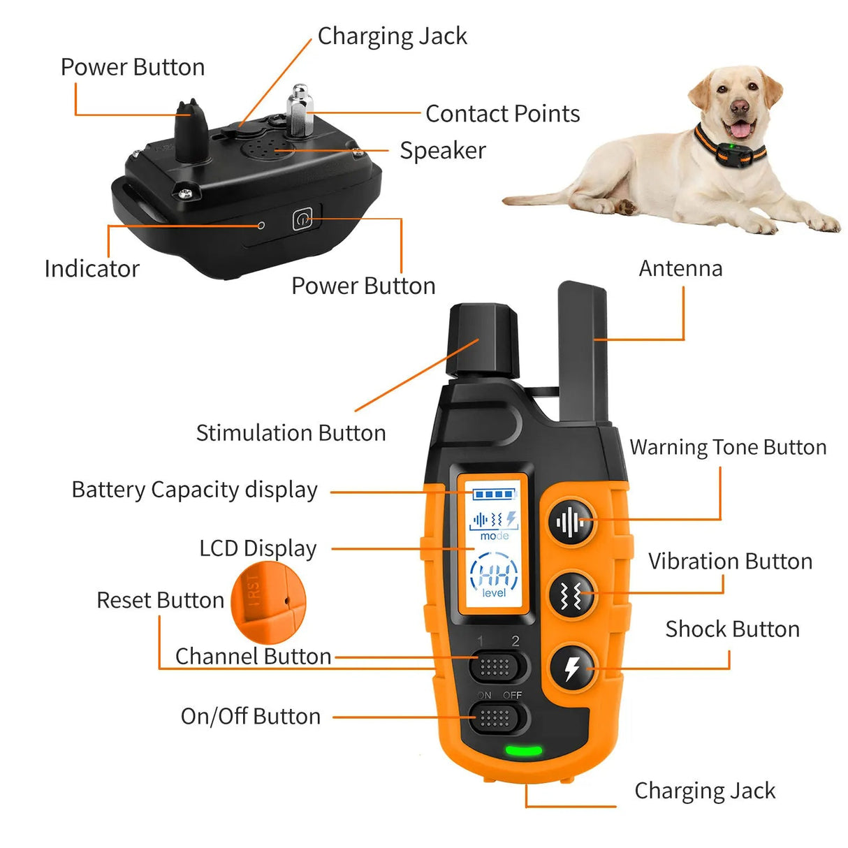 3300Ft Elektrisk Hundträningshalsband Carvallo