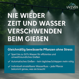 Carvallo Pro – Maximal avkastning med minimal ansträngning (20-pack) Carvallo