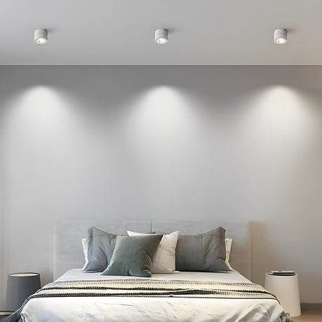 AdjustaGlow - Justerbar LED Nordic Spotlight Inbyggd Taklampa Carvallo