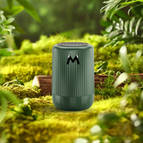 Carvallo - Snabb avfrostningsanordning Carvallo