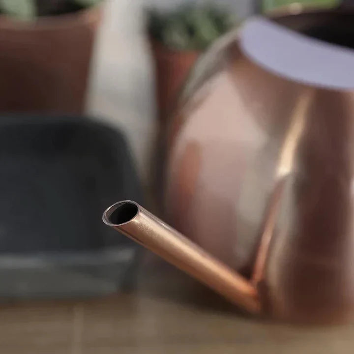 PlantFlow – Slim sfärisk vattenkanna perfekt för känsliga växter Carvallo