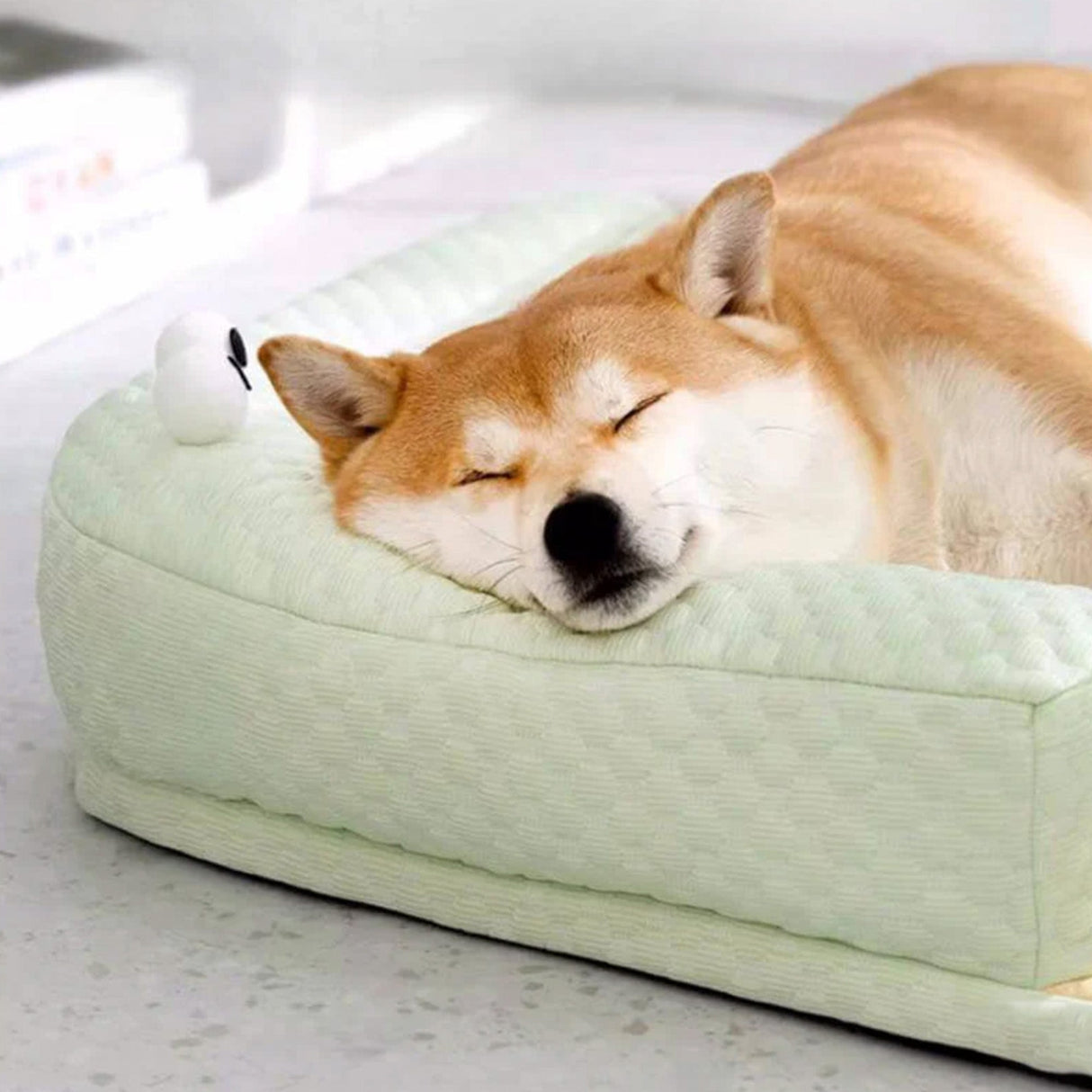 Avkylande husdjurssäng med nackskydd Andningsbar Stödjande Tvättbar Carvallo