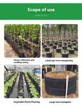 Rotkontrollapparat för växter och landskapsdesign för att främja hälsosam tillväxt Carvallo