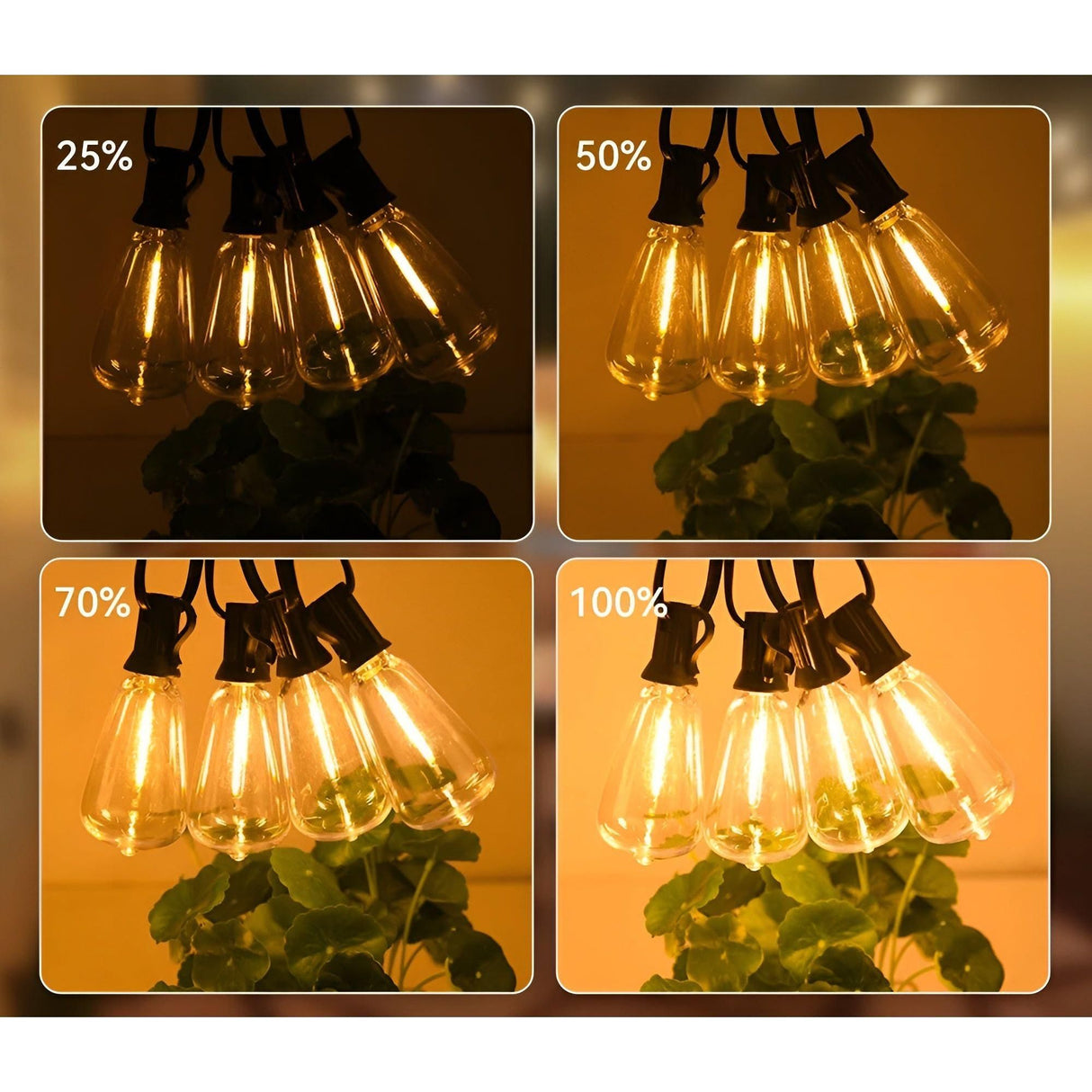 GlowFest String Lights - Varm och Mysig Vattentät Trädgårbelysning Carvallo