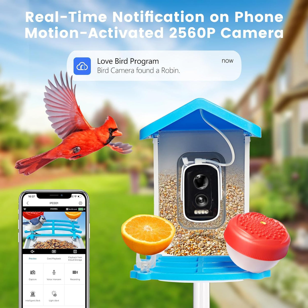 Smart fågelmatare med kamera solenergi driven Carvallo