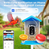 Smart fågelmatare med kamera solenergi driven Carvallo