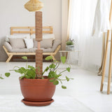 Kokosmoss Stativ för klätterväxter – Naturligt stöd för inomhusväxter och trädgård Carvallo