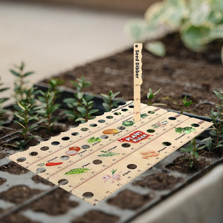 Holz Planterlinjal – Multifunktionellt frö-mätverktyg för trädgård Carvallo