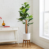 Kokosmoss Stativ för klätterväxter – Naturligt stöd för inomhusväxter och trädgård Carvallo