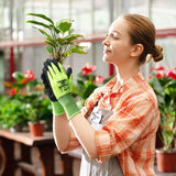 Arbetshandskar med Wunder-Grepp – Halkfria handskar för trädgårdsarbete och hantverk Carvallo