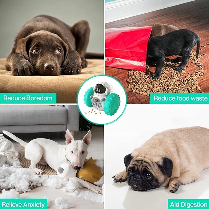 Carvallo Foderrobot för hundar & katter | 3-i-1 Lek, Intelligens & Snackskoj | Självbalanserande & Utan batterier Carvallo