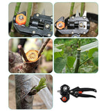 Graft- och beskärningsverktygs-set för exakt växtförädling Carvallo