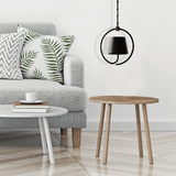 Emptyoo Taklampa Carvallo