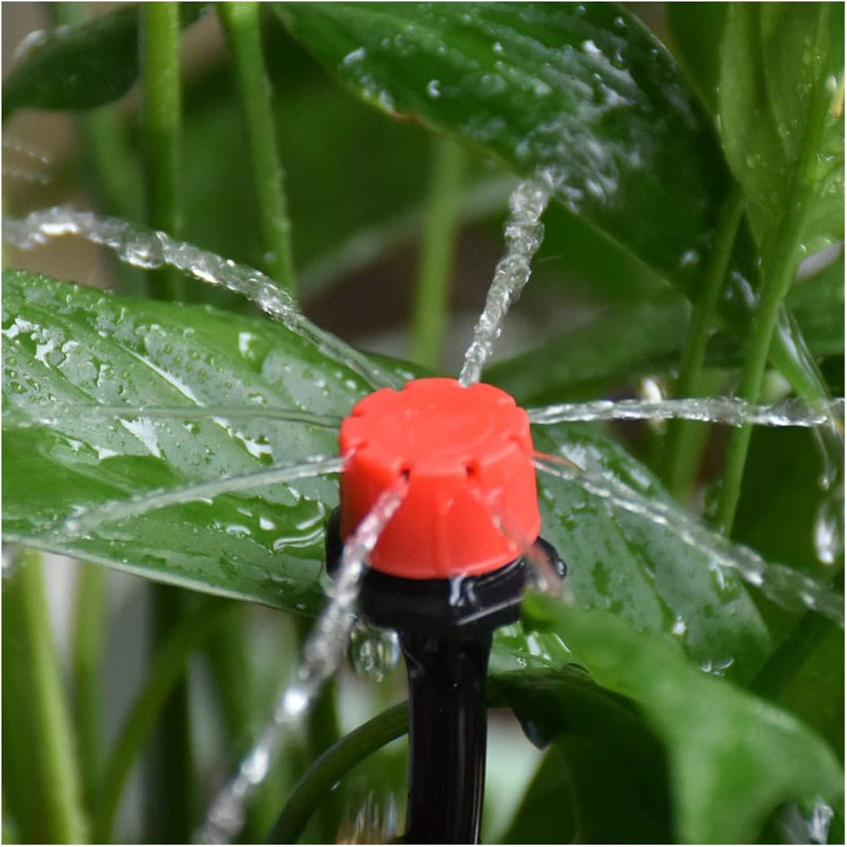 Smart självbevattningssystem – Problemfri bevattning MILA Sverige