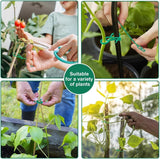 Plantbindning Kabelbinder Set för stabil fästning av växter Carvallo