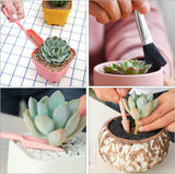 Kombinationsset för suckulentplanteringsverktyg – Praktiskt set för skötsel och plantering Carvallo