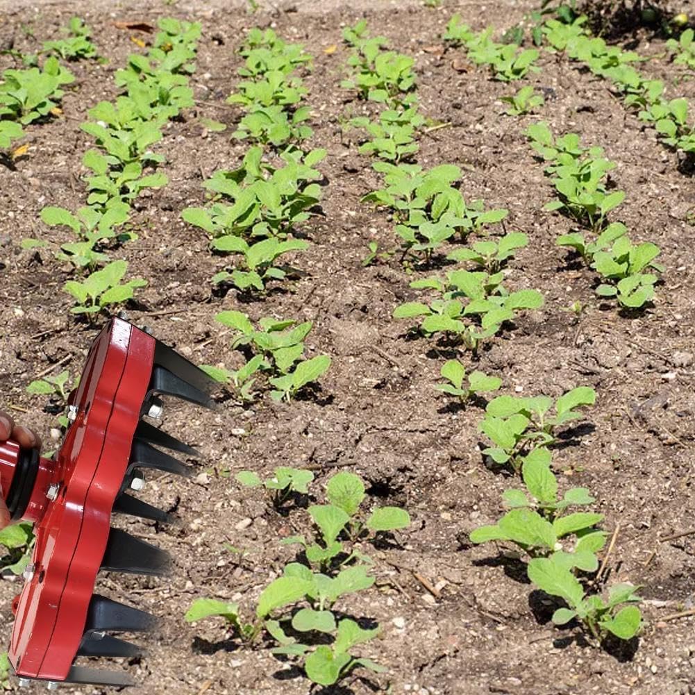 Ogräsavlägsnare huvudfäste – Effektivt gräsmattevårdsverktyg för att ta bort ogräs Carvallo