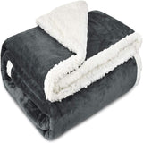 Dual-Sided Cloud Soft Blanket Carvallo