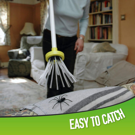 Praktiskt insektsborttagningsverktyg – Insektsfälla med teleskophandtag för en säker användning Carvallo