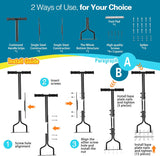Carvallo – För stark gräs från botten och upp! Carvallo