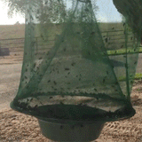 Royaleva Miljövänlig Stabil Fluggång för Utomhusbruk Carvallo