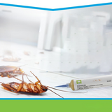 Pest Control Gel Säker Inomhus Kackerlacka Döda Carvallo