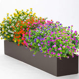 Carvallo | BloomAura – Naturtroget blommprakt utan vårdinsats Carvallo