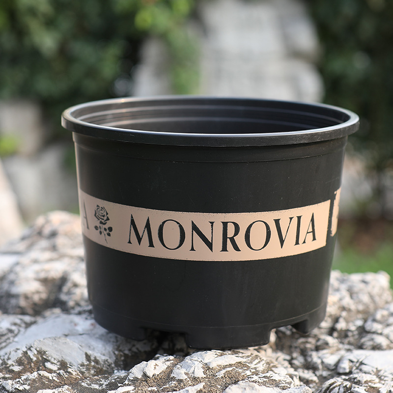 Robust planter av plast – Väderbeständig blomkruka för trädgård och balkong Carvallo